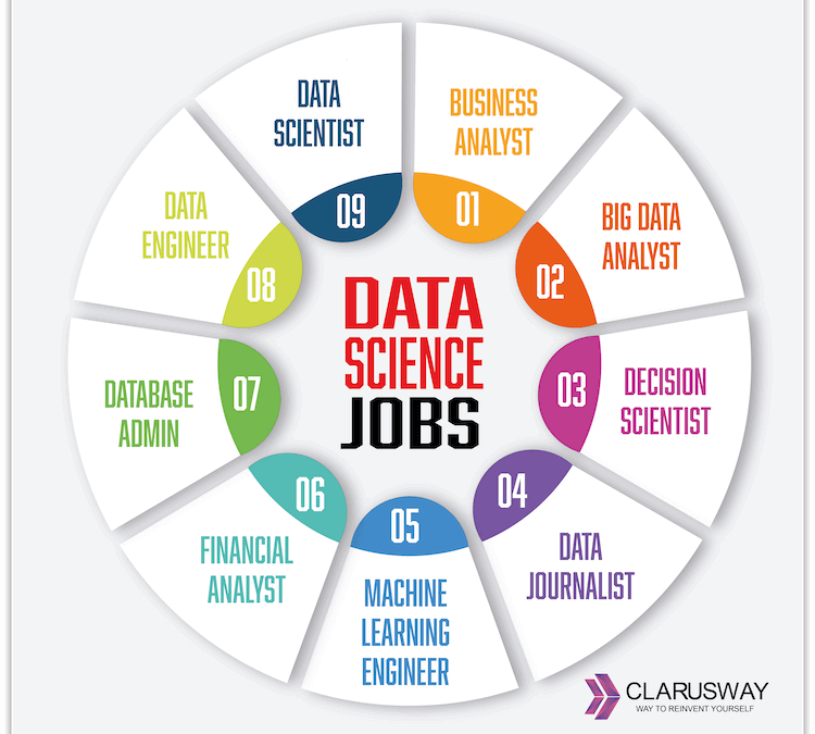 Different qualification paths to become a data scientist including degree, certification, and self-learning roadmap.